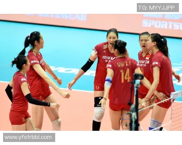 成都排球队区域防守的秘密武器与战术解析